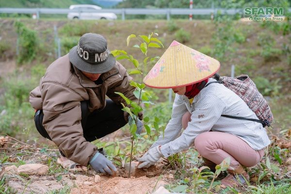 Mang Rừng Về Nguyên Bản – Gieo “Lộc Xanh” Cho Núi Rừng Hoà Bắc