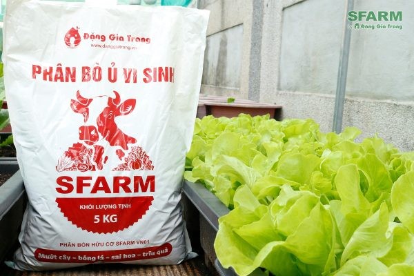 MUA PHÂN BÒ Ở ĐÂU CHẤT LƯỢNG, UY TÍN?
