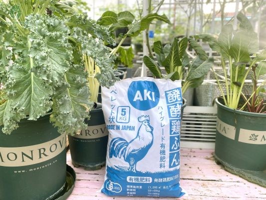 MUA PHÂN GÀ Ở ĐÂU CHẤT LƯỢNG, UY TÍN