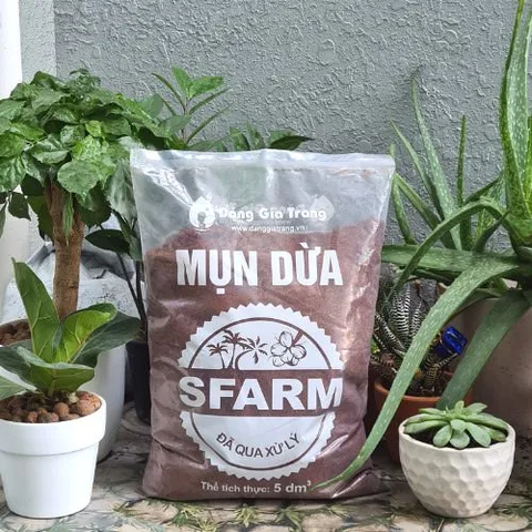 Cách xử lý mùn dừa để trồng cây? Cách phân biệt mùn dừa đã qua xử lý với mùn dừa chưa qua xử lý?