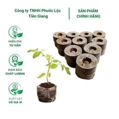 Viên nén xơ dừa ươm hạt