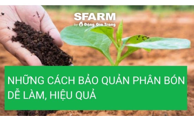 Những cách bảo quản phân bón dễ làm, hiệu quả