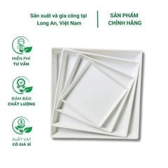 Đĩa lót chậu trồng cây hình vuông
