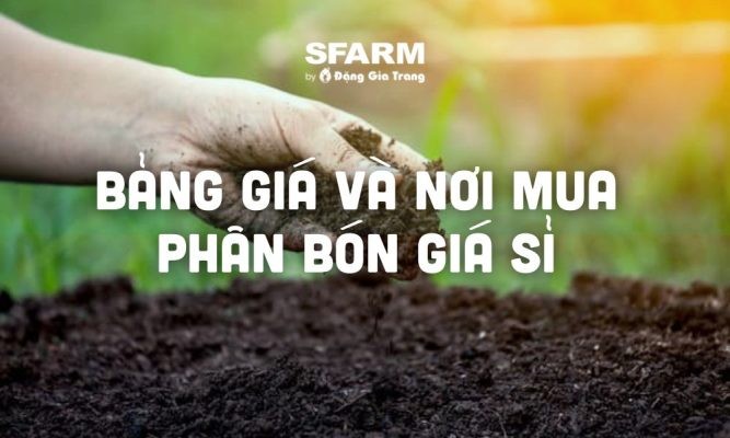 Phân bón giá sỉ 27/05/2025: Bảng giá, nơi mua uy tín, giá tốt