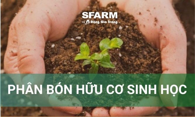 Phân bón hữu cơ sinh học: Định nghĩa, lợi ích và cách sử dụng