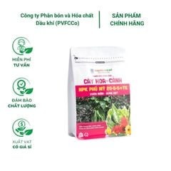 Phân NPK Phú Mỹ 20-5-5+TE Cây hoa - cảnh - Gói 500 gram