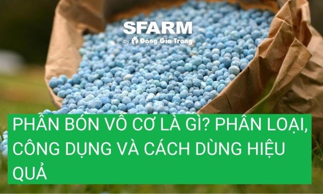 Phân bón vô cơ là gì? Phân loại, công dụng và cách dùng hiệu quả