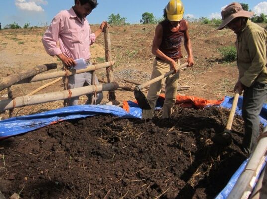 Cách ủ phân chuồng đạt tiêu chuẩn với trichoderma
