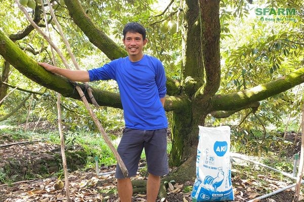 PHÂN GÀ NHẬT BẢN VIÊN NÉN CÓ TỐT KHÔNG?
