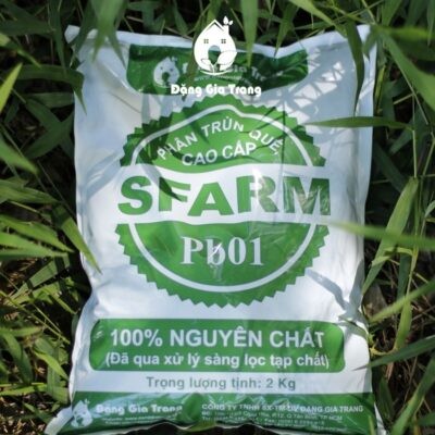 Quy trình sản xuất Phân trùn quế Sfarm Đặng Gia Trang