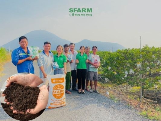 Phân Trùn Quế: Giải Pháp Tối Ưu Cho Nông Nghiệp Hữu Cơ