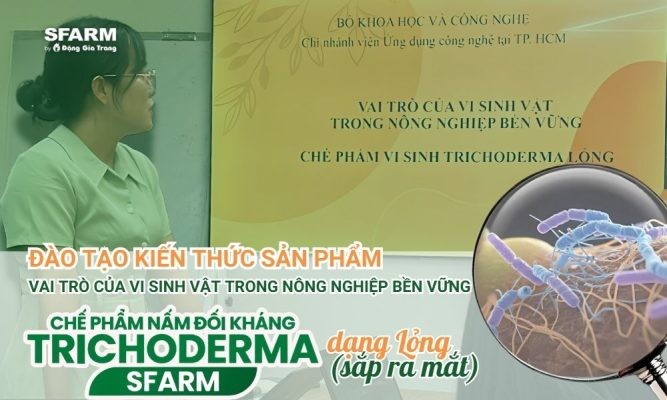 SFARM và Viện Ứng Dụng Công Nghệ nghiên cứu chế phẩm sinh học Trichoderma dạng lỏng – Giải pháp bền vững cho nông nghiệp Việt