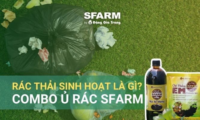 Rác thải sinh hoạt là gì? Quy định phân loại, xử lý rác thải sinh hoạt tại nguồn