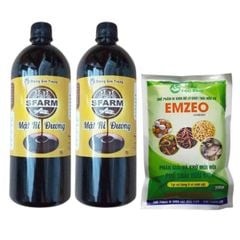 Combo bộ đôi 01 túi chế phẩm ủ rác và phân bón Emzeo 200gram và 02 chai mật rỉ đường loại 1 lít - Tại CH Hà Nội