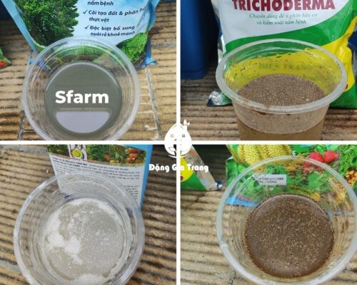 Đánh Giá, So Sánh Nấm Đối Kháng Trichoderma Sfarm Tốt Không