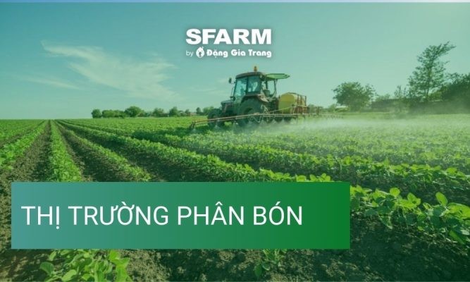 Thị trường phân bón 2024 – Thực trạng, xu hướng và cơ hội