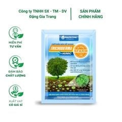 Chế phẩm Trichoderma Plus SFARM (1kg) – Nấm đối kháng, cải tạo đất hiệu quả
