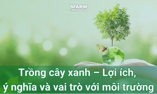 Trồng cây xanh – Lợi ích, ý nghĩa và vai trò với môi trường