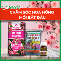 Combo chăm sóc hoa hồng mới bắt đầu - Tại CH Đà Nẵng