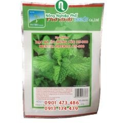 Hạt giống Bạc hà âu (Húng Lủi) PN 800 - Gói 0.2 gram