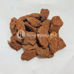 Vỏ thông trồng lan đã xử lý (2-5cm) – Vỏ thông chống nấm, giữ ẩm tốt, thoáng khí cho lan rừng