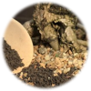 Phân bón bonsai