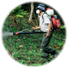 Thuốc phòng trừ sâu hóa học